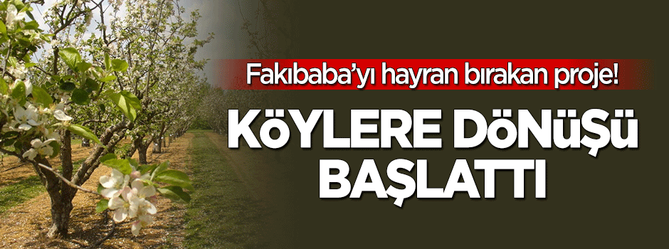 Fakıbaba'yı hayran bırakan proje! Köylere dönüş başlattı
