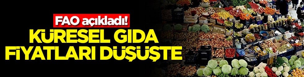FAO açıkladı! Küresel gıda fiyatları düşüşte