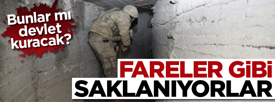 Fareler gibi saklanıyorlar