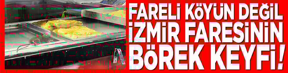 Fareli köyün değil İzmir faresinin börek keyfi!