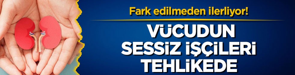 Fark edilmeden ilerliyor! Vücudun sessiz işçileri tehlikede