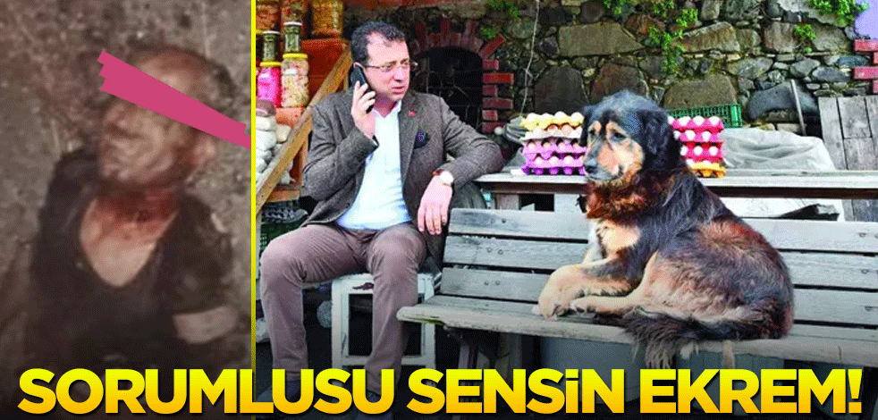 Fatih’teki korkunç ölüm İmamoğlu’nun açıklamasını hatırlattı