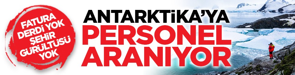 Fatura derdi yok, şehir gürültüsü yok: Antarktika’ya personel aranıyor