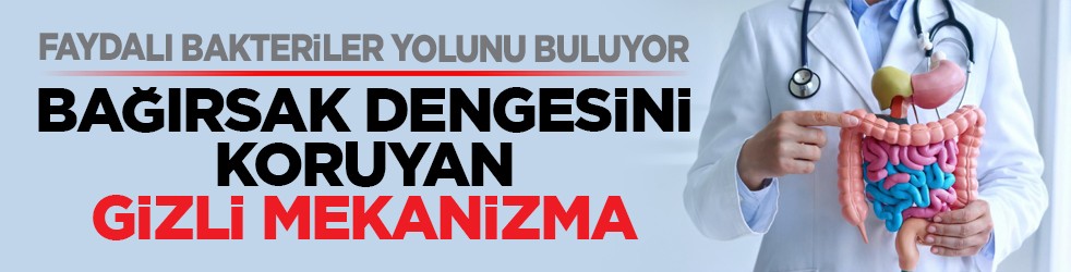 Faydalı bakteriler yolunu buluyor: Bağırsak dengesini koruyan gizli mekanizma