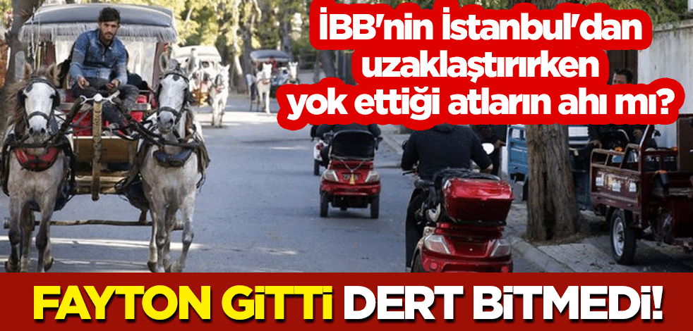 Fayton gitti, dert bitmedi! İBB'nin İstanbul'dan uzaklaştırırken yok ettiği atların ahı mı?