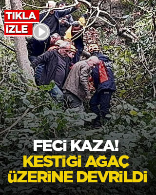 Feci kaza! Kestiği ağaç üzerine devrildi