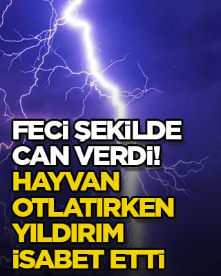 Feci şekilde can verdi! Hayvan otlatırken yıldırım isabet etti