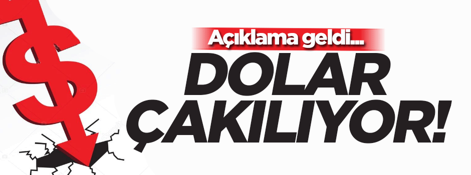 FED başkanı Yellen'in sunumu sonrası dolar düşüyor