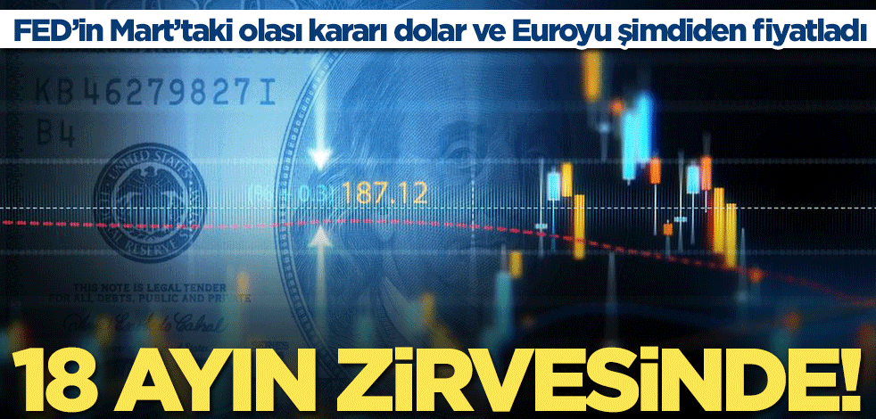 FED'in kararı sonrası dolar 18 ayın zirvesinde! Euro endeksi ise...