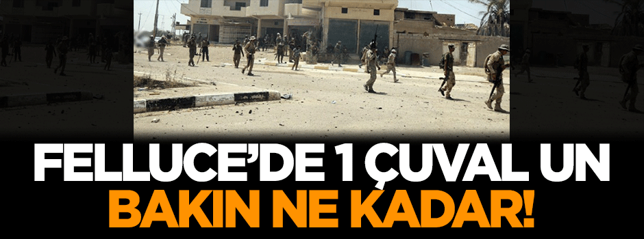 Felluce'de 1 çuval un bakın ne kadar!
