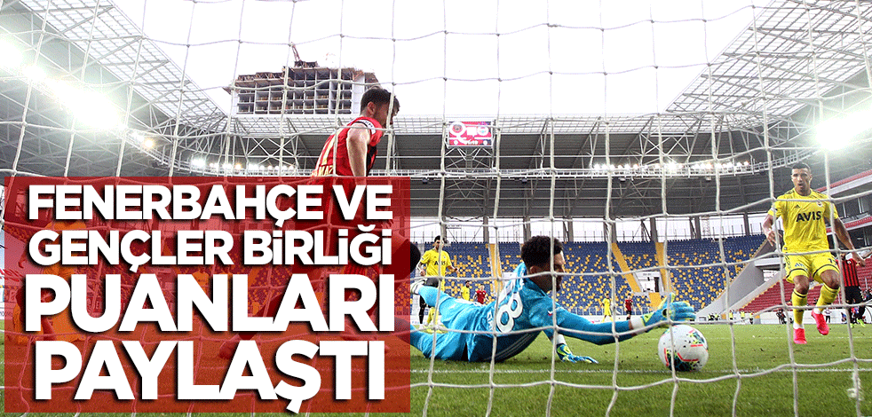 Fenerbahçe Gençler Birliği ile puanları paylaştı