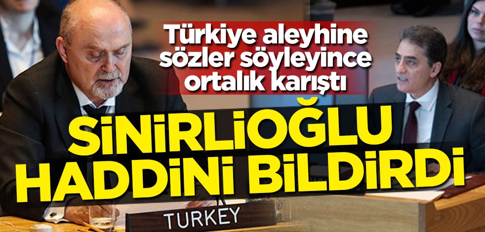 Feridun Sinirlioğlu, Türkiye aleyhinde konuşan Suriyeli temsilciye haddini bildirdi