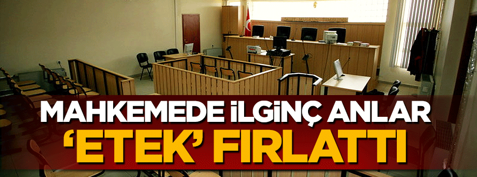 FETÖ davasında ilginç anlar! Etek fırlattı