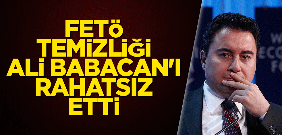 FETÖ temizliği Ali Babacan'ı rahatsız etti