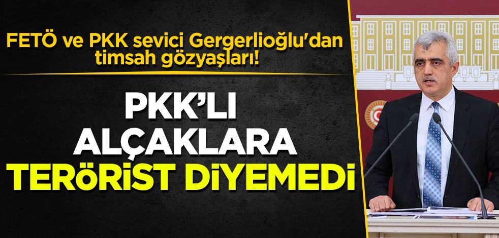 FETÖ ve PKK sevici Gergerlioğlu'dan timsah gözyaşları! PKK'lı alçaklara terörist diyemedi
