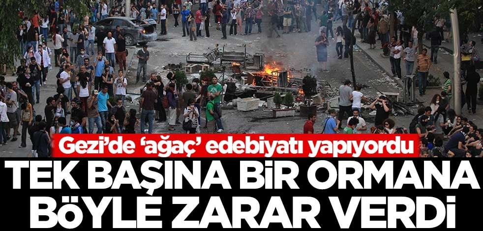 FETÖ'cü Can Dündar, Gezi'de 'ağaç' edebiyatı yapıyordu! Tek başına bir ormana böyle zarar verdi