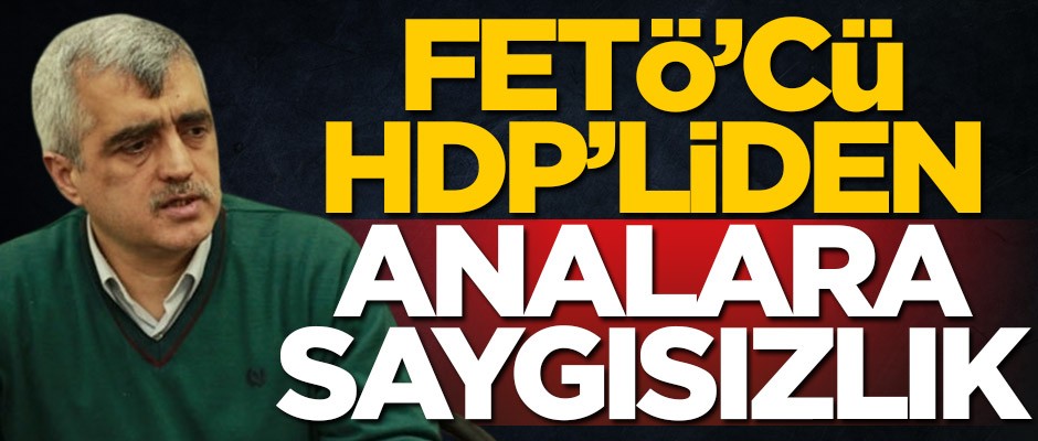FETÖ’cü HDP’li Ömer Faruk Gergerlioğlu'ndan analara saygısızlık