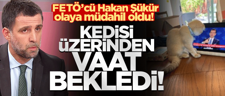 FETÖ'cü Şükür olaya müdahil oldu! Kedisi üzerinden vaat bekledi