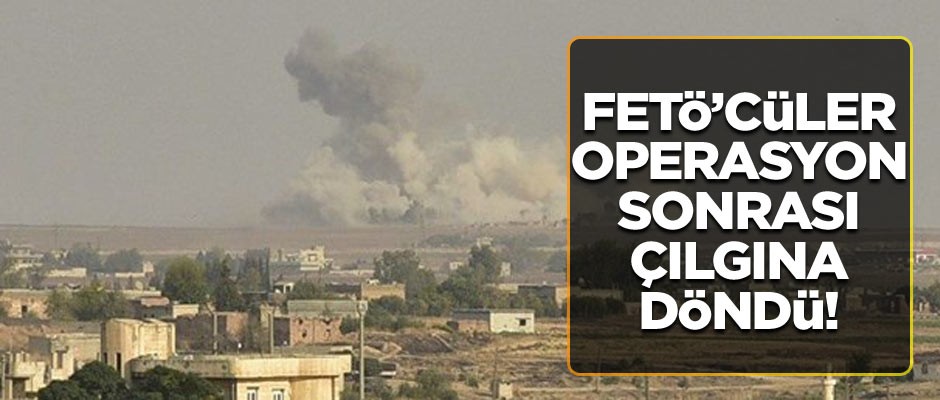 FETÖ’cüler Barış Pınarı Herakatı sonrası çılgına döndüler