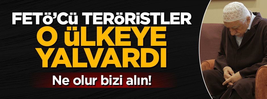 FETÖ'cüler kaçacak delik olarak Almanya'yı buldu