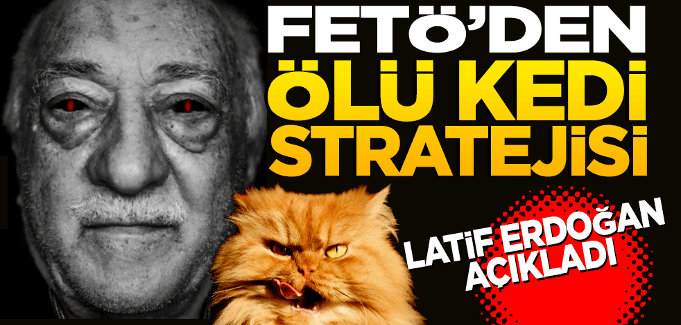 Fetö’den ‘Ölü kedi stratejisi’
