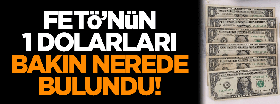 FETÖ'nün dolarları bakın nerede bulundu!
