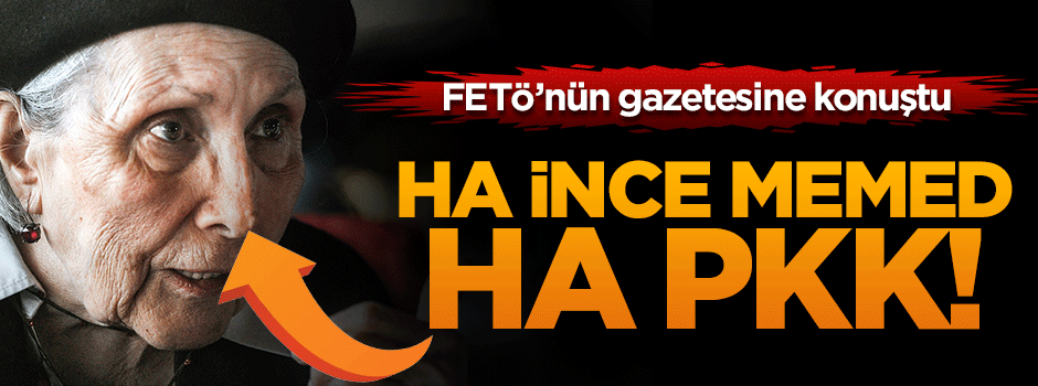 FETÖ'nün gazetesine konuştu: Ha İnce Memed ha PKK!