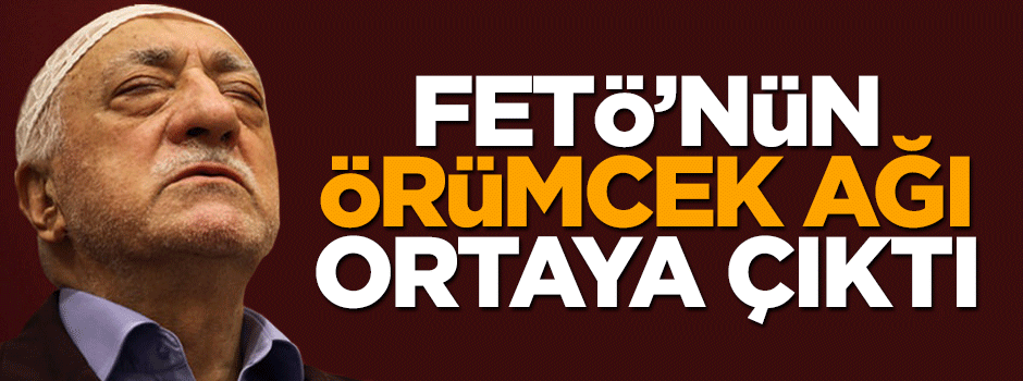 FETÖ'nün örümcek ağı ortaya çıktı