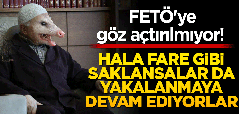 FETÖ'ye göz açtırılmıyor! İzmir'de 9 şüpheli yakalandı Hala fare gibi saklanıyorlar