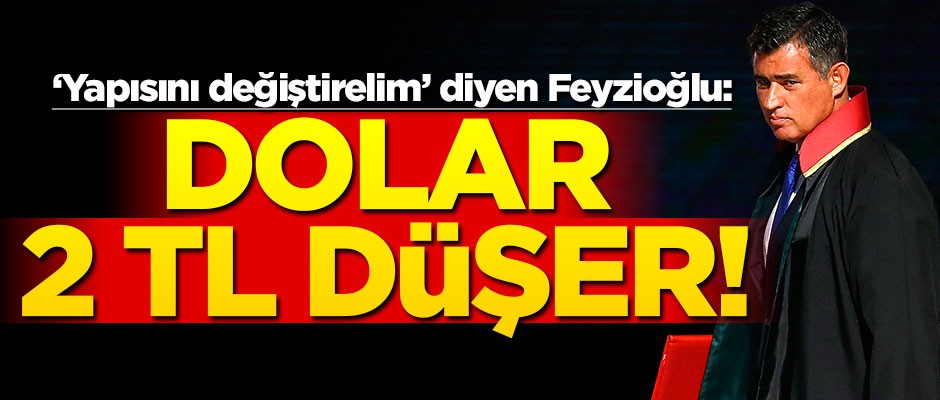 Feyzioğlu'ndan dikkat çeken öneri: Dolar 2 TL düşer!..