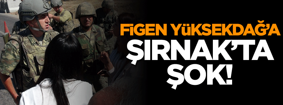 Figen Yüksekdağ Şırnak'a giremedi