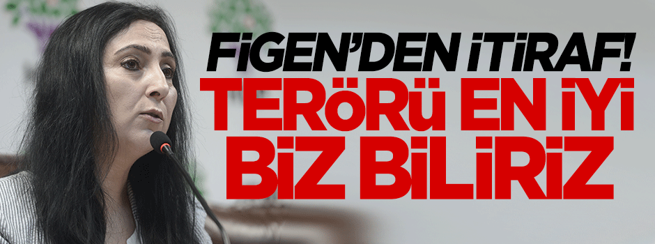 Figen Yüksekdağ'dan itiraf: Terörü en iyi biz biliriz.