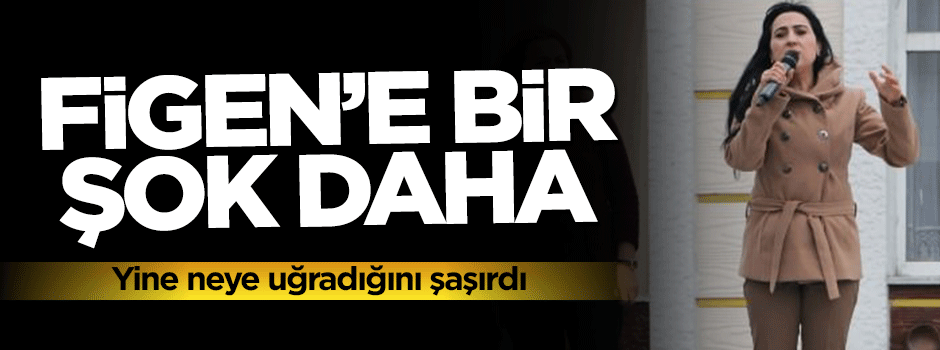 Figen Yüksekdağ'ı Van'da kimse dinlemeye gelmedi