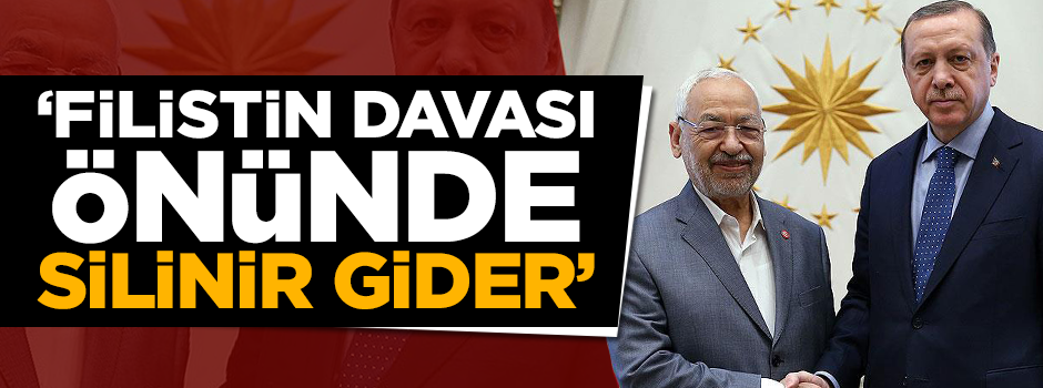 ''Hizbi farklılıklar, Filistin davası önünde silinir gider"