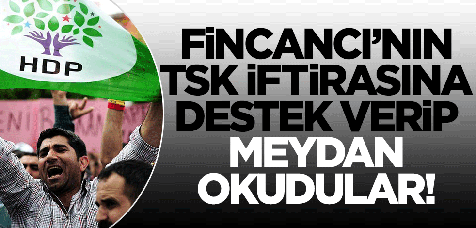 Fincancı'nın TSK iftirasına destek veren HDP meydan okudu: Korkmuyoruz!