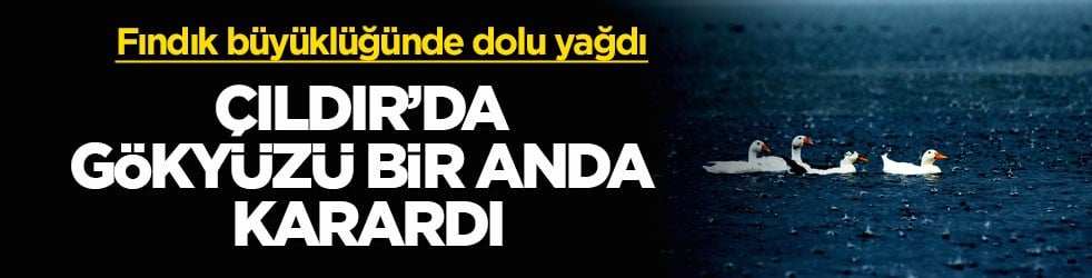 Fındık büyüklüğünde dolu yağdı! Çıldır’da gökyüzü bir anda karardı