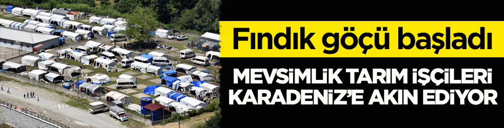 Fındık göçü başladı! Mevsimlik tarım işçileri Karadeniz’e akın ediyor