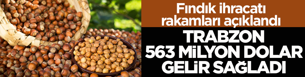 Fındık ihracatı rakamları açıklandı! Trabzon, 563 milyon dolar gelir sağladı