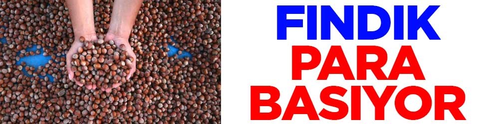 Fındık para basıyorFındık para basıyor