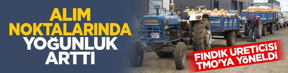 Fındık üreticisi TMO’ya yöneldi: Alım noktalarında yoğunluk arttı