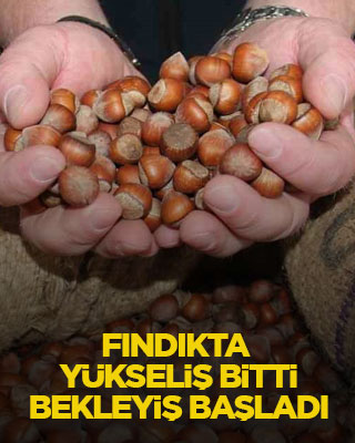 Fındıkta yükseliş bitti, bekleyiş başladı