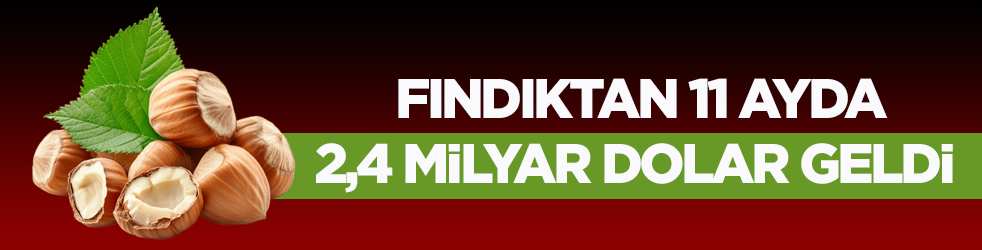 Fındıktan 11 ayda 2,4 milyar dolar geldi
