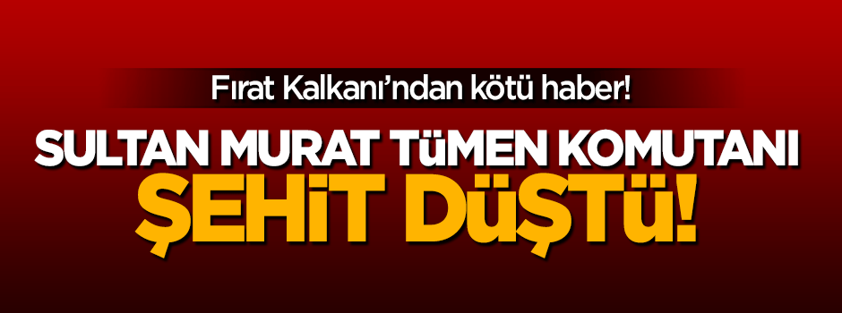 Fırat Kalkanı'nda Tümen komutanı şehit oldu