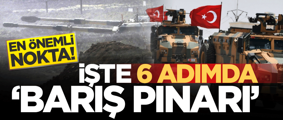 Fırat’ın doğusuna düzenlenecek 'Barış Pınarı Harekatı' için altı temel argüman!