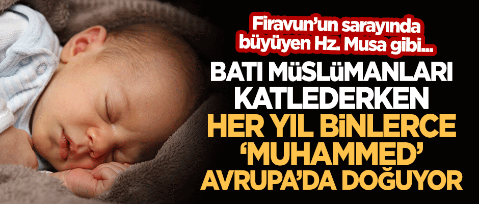Firavun'un sarayında büyüyen Hz. Musa gibi... Avrupa'da her yıl binlerce 'Muhammed' doğuyor