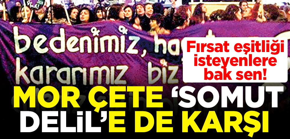 Fırsat eşitliği isteyenlere bak sen! Mor çete ‘Somut delil'e de karşı
