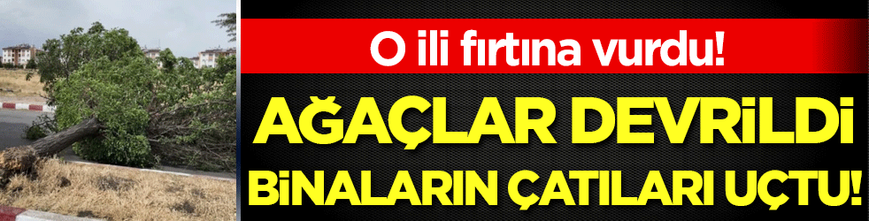 Fırtına o ili vurdu: Ağaçlar devrildi, binaların çatıları uçtu!