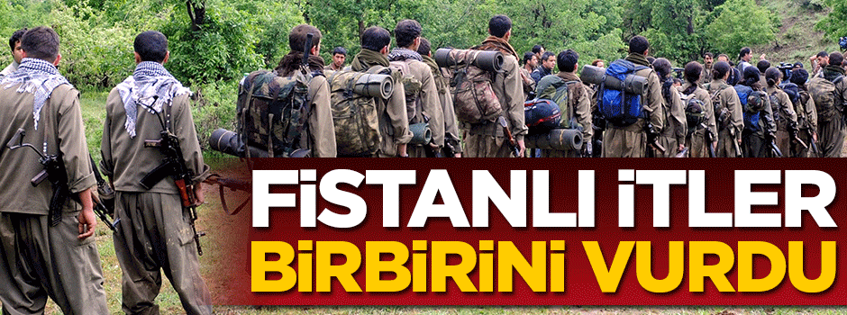 Fistanlı itler birbirine düştü