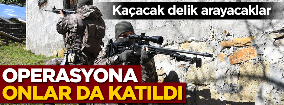 Fistanlılara kötü haber! Operasyona onlar da katıldı
