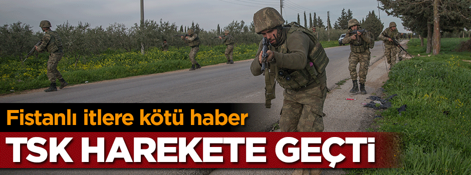 Fistanlı itlere kötü haber! Türkiye harekete geçti